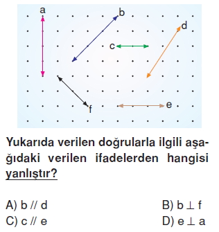 Görüntü 031
