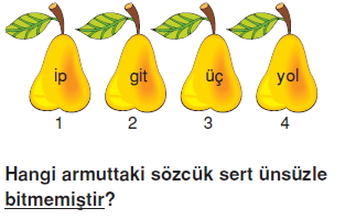 Görüntü 045
