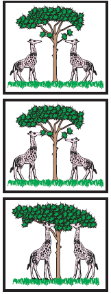 lamarck