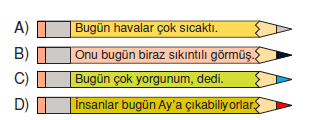 ornek soru 1 siklar