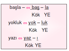 Kok Ve Govde Konu Anlatimi Bilgicik Com Bilgicik Com