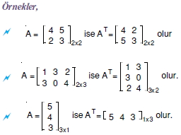 Bir Matrisin Transpozu (Devriği)_003