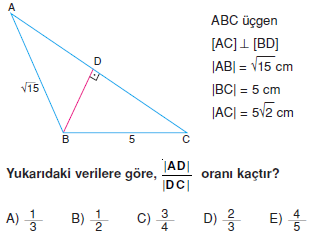 Dik Ucgen_Konu_Testi_IV_001