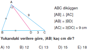 Dik Ucgen_Konu_Testi_IV_014