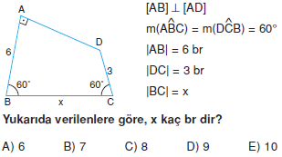 Dik Ucgen_Konu_Testi_IX_006