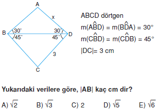 Dik Ucgen_Konu_Testi_VIII_004