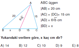 Dik Ucgen_Konu_Testi_VIII_008