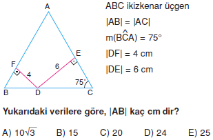 Dik Ucgen_Konu_Testi_VIII_009