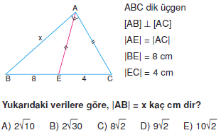 Dik Ucgen_Konu_Testi_VIII_012