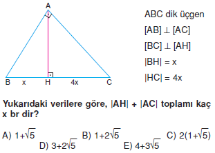 Dik Ucgen_Konu_Testi_V_006