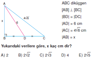 Dik Ucgen_Konu_Testi_V_008