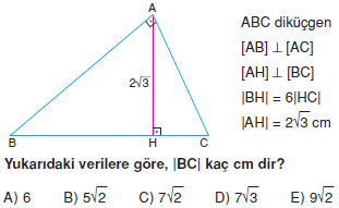 Dik Ucgen_Konu_Testi_V_011