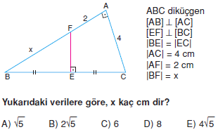 Dik Ucgen_Konu_Testi_V_012