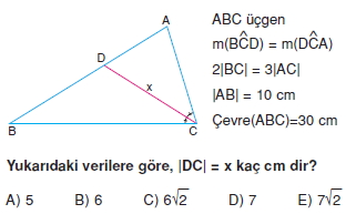 aciortay_kenarortay _konu_testi_1_005