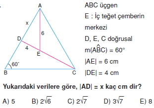 aciortay_kenarortay _konu_testi_1_012