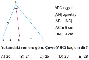 aciortay_kenarortay _konu_testi_1_016