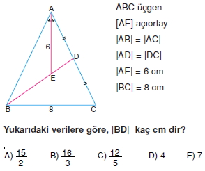 aciortay_kenarortay _konu_testi_2_004