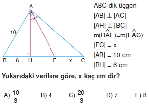 aciortay_kenarortay _konu_testi_2_008