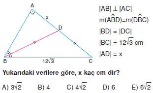 aciortay_kenarortay _konu_testi_2_008