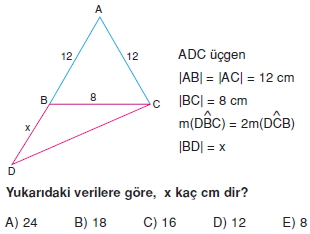 aciortay_kenarortay _konu_testi_2_009