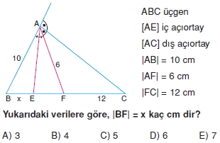 aciortay_kenarortay _konu_testi_2_012