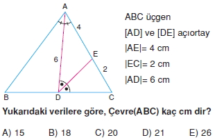 aciortay_kenarortay _konu_testi_2_013