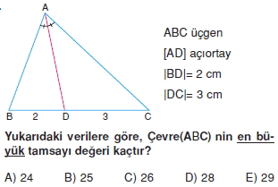 aciortay_kenarortay _konu_testi_2_014