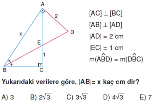 aciortay_kenarortay _konu_testi_2_015