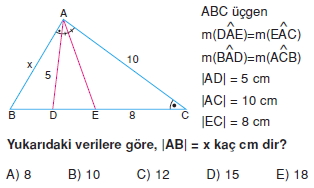 aciortay_kenarortay _konu_testi_4_006