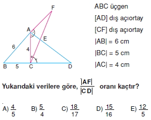 aciortay_kenarortay _konu_testi_4_009