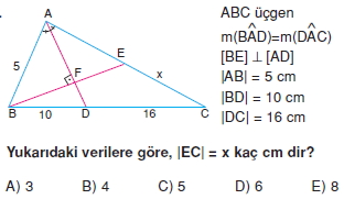 aciortay_kenarortay _konu_testi_4_010