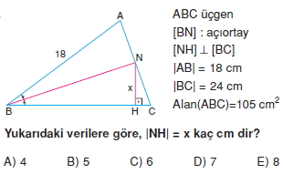 aciortay_kenarortay _konu_testi_4_012