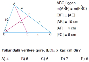 aciortay_kenarortay _konu_testi_4_013