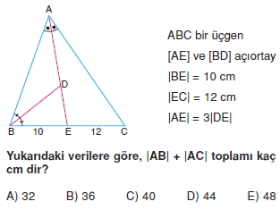 aciortay_kenarortay _konu_testi_5_001