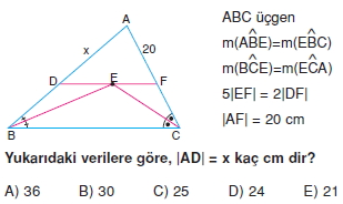 aciortay_kenarortay _konu_testi_5_002