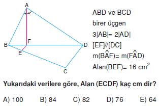 aciortay_kenarortay _konu_testi_5_004