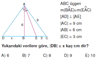 aciortay_kenarortay _konu_testi_5_005