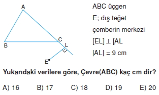 aciortay_kenarortay _konu_testi_5_006