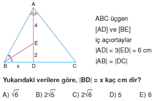 aciortay_kenarortay _konu_testi_5_008