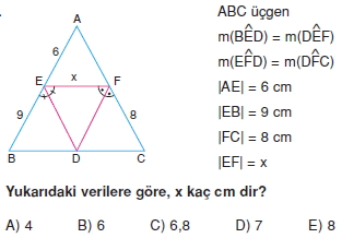 aciortay_kenarortay _konu_testi_5_013