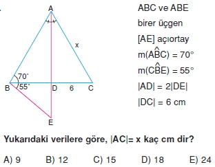 aciortay_kenarortay _konu_testi_5_015