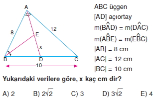 aciortay_kenarortay _konu_testi_6_003