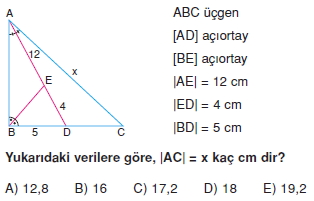 aciortay_kenarortay _konu_testi_6_004