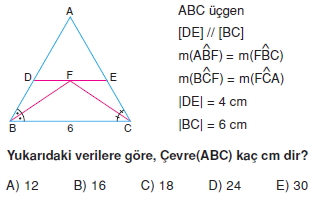 aciortay_kenarortay _konu_testi_6_005