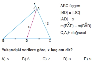 aciortay_kenarortay _konu_testi_6_006