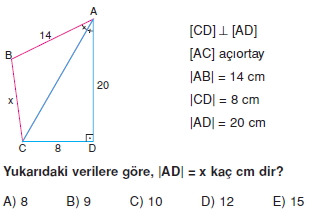 aciortay_kenarortay _konu_testi_6_016