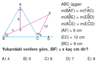 aciortay_kenarortay _konu_testi_7_005