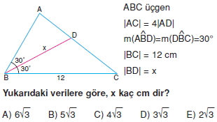 aciortay_kenarortay _konu_testi_7_007