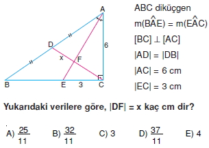 aciortay_kenarortay _konu_testi_7_009