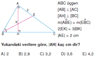 aciortay_kenarortay _konu_testi_7_010